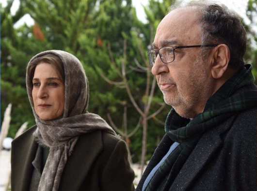 فیلم ایرانی دل دیوانه